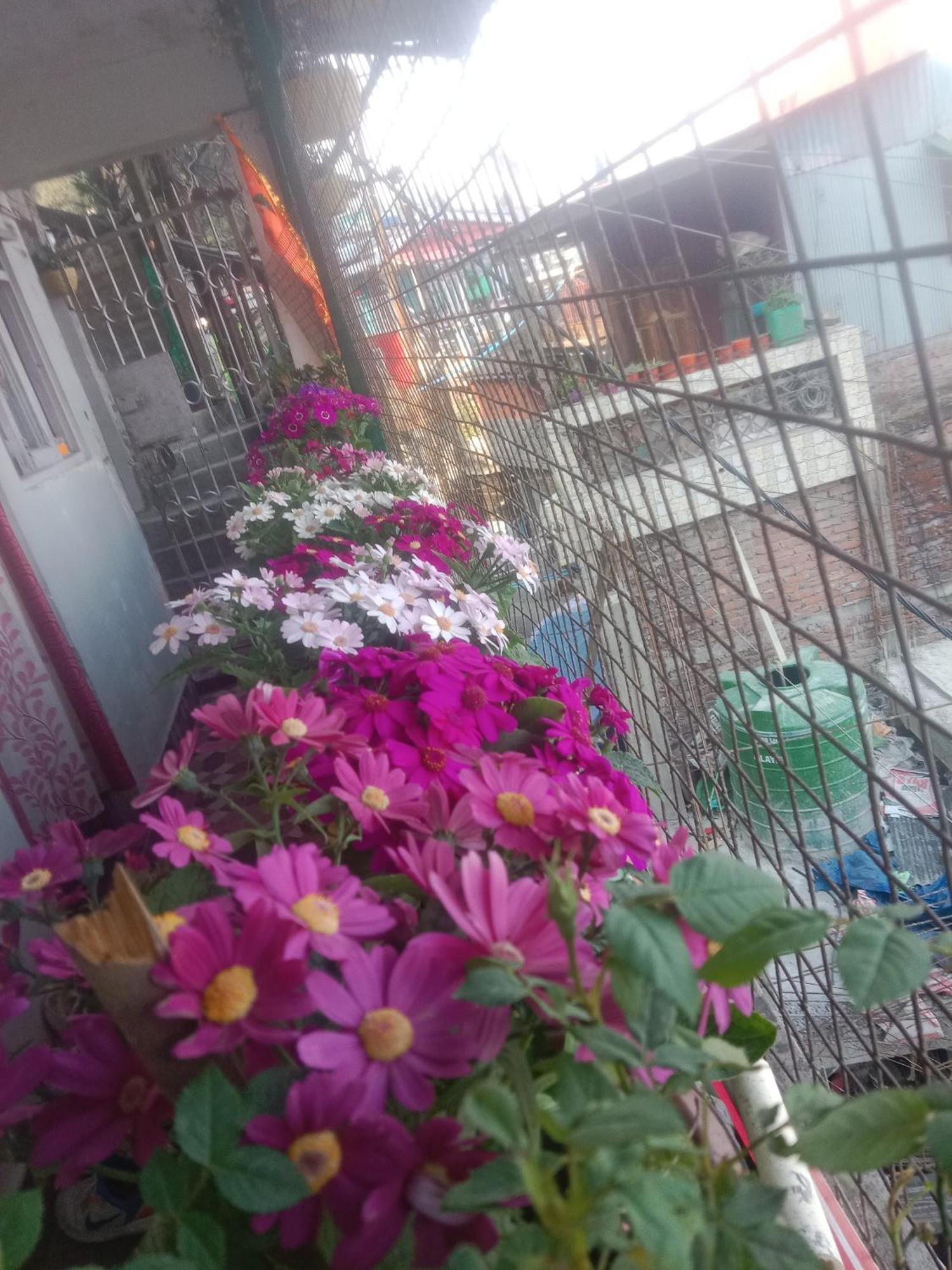 Beverly Hills Home Stay Darjeeling  Exterior foto